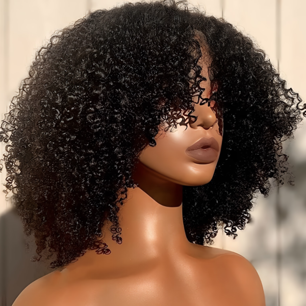 Afro Kinky Curly Coils
